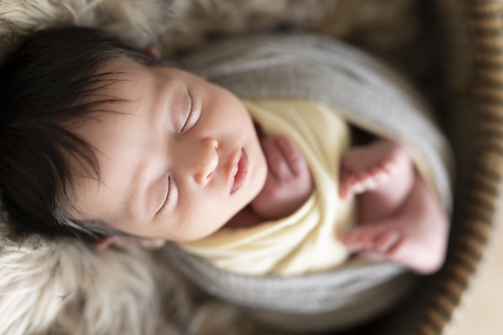 צילומי ניובורן 6